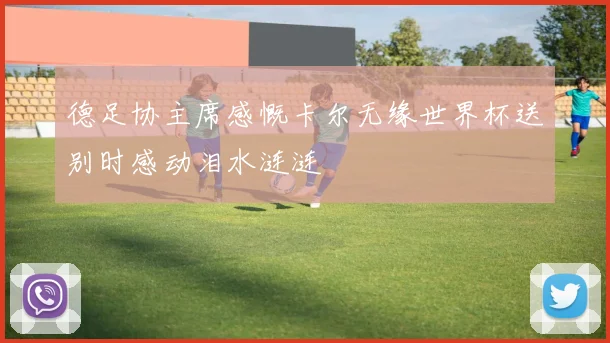 德足协主席感慨卡尔无缘世界杯送别时感动泪水涟涟