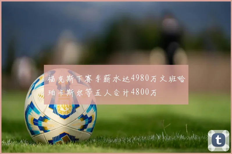 福克斯下赛季薪水达4980万文班哈珀卡斯尔等五人合计4800万