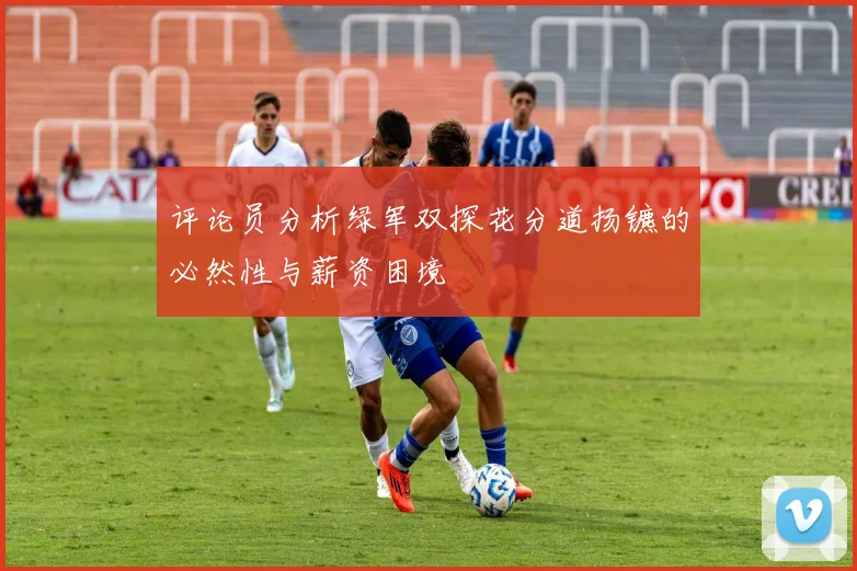 评论员分析绿军双探花分道扬镳的必然性与薪资困境