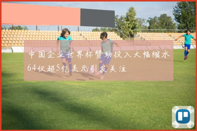 中国企业世界杯赞助投入大幅缩水64仅超5亿美元引发关注